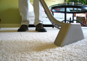 Professional Carpet Cleaning Collier County